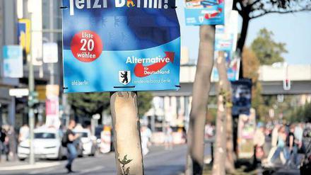 AfD-Wahlplakate in Berlin