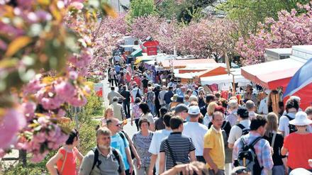 Spaß in der Blütenstadt. Ganz Werder ist beim Baumblütenfest – hier ein Archivbild – wieder ein Jahrmarkt. Bachmann