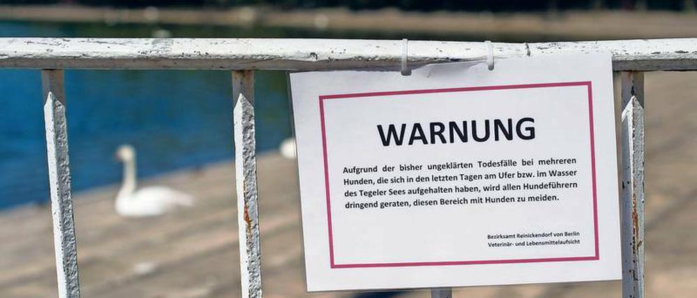 Gefahr am Ufer. Die Warnung wurde am Mittwoch größtenteils zurückgenommen.