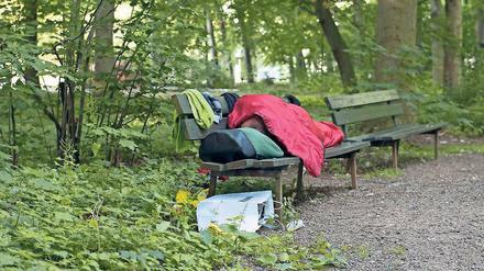 Einer von 50. Im Tiergarten übernachten aktuell viele Obdachlose.