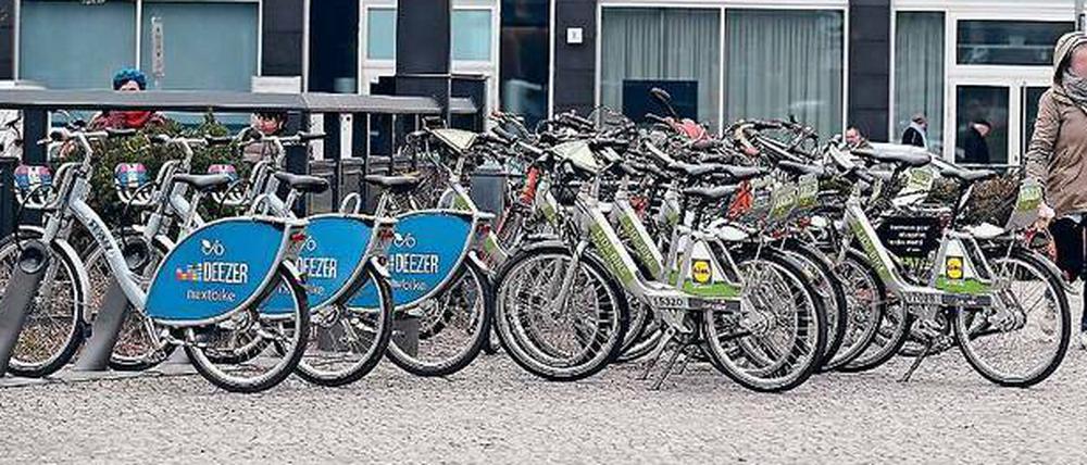 Leihräder der Firmen Nextbike und Lidl.