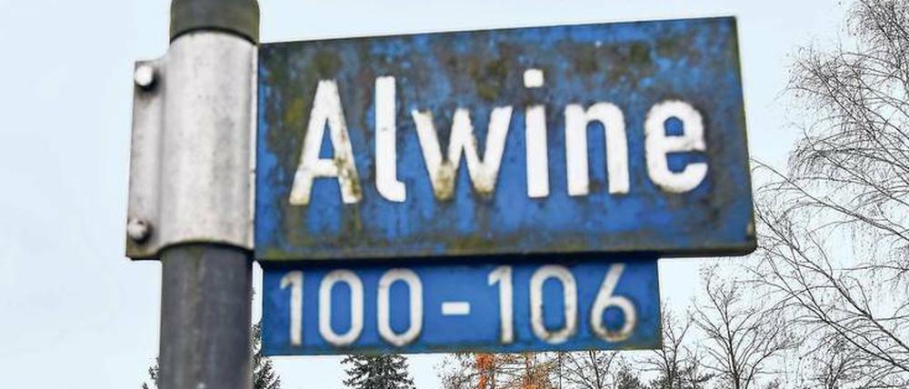 Alwine wurde schon letztes Jahr für 140.000 Euro ersteigert. 