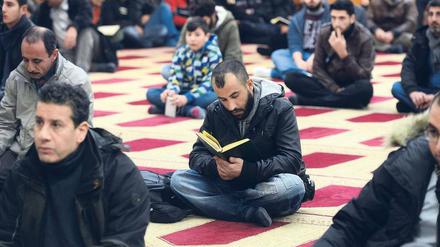 Großer Zulauf. In Berlin stieg in den vergangenen zwölf Jahren die Zahl der Moscheen und Gebetsräume auf 98. 
