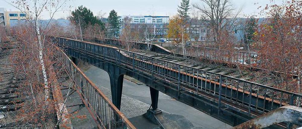 Auf der Strecke der alten Siemensbahn, die seit 1980 stillgelegt ist, sollen eines Tages wieder Züge rollen.