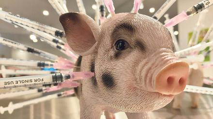 Im neuen Museum erfahren die Besucher, was die Agrarindustrie so alles hineinspritzt ins Schweinefleisch.