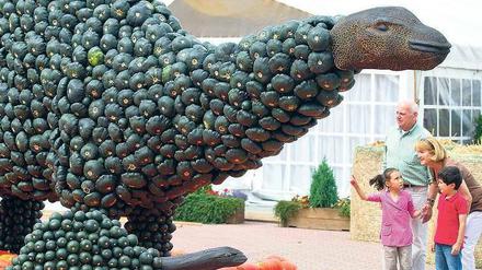 Süßes oder Saurier? Aus 28 000 Kürbissen wurden in Klaistow zehn große Dinos gestaltet. Foto: dapd/Heimann