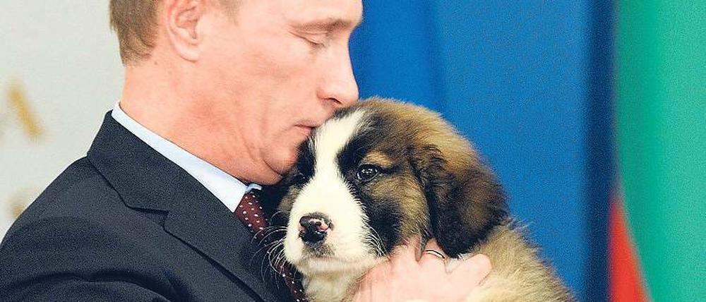 Vorbild Russland. Für Wladimir Putin sind süße Hundies sogar Chefsache. Foto: dpa