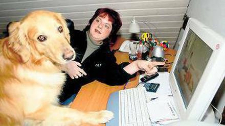 Armer Hund. Ein „Mehr Berlin“-Redakteur wird von der Ressortleiterin aufgefordert, etwas zu schreiben (Abb. ähnl.). Foto: dpa