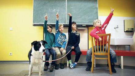 Schlechte Schulwahl. Jahr für Jahr landen zu viele Berliner Kinder versehentlich auf einer Hundeschule. Foto: dpa