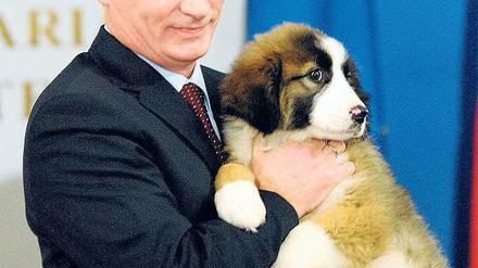Hände weg von meinem Welpen, ihr Sodos! Putin und sein Cheflobbyist. Foto: dpa