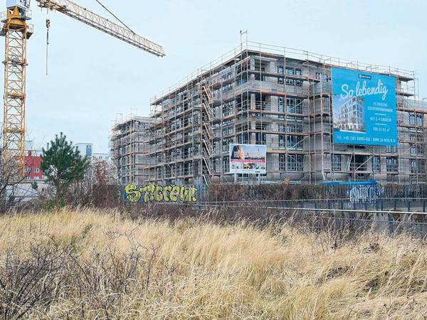 Weil ein erster städtebaulicher Vertrag über das Projekt am Mauerpark bereits 2012 geschlossen wurde, muss der Investor die Anforderungen des „Berliner Modells“ nicht berücksichtigen.