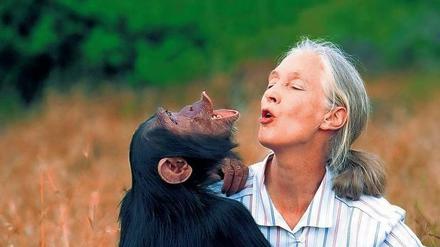 Affenliebhaberin und Naturschützerin, Jane Goodall.