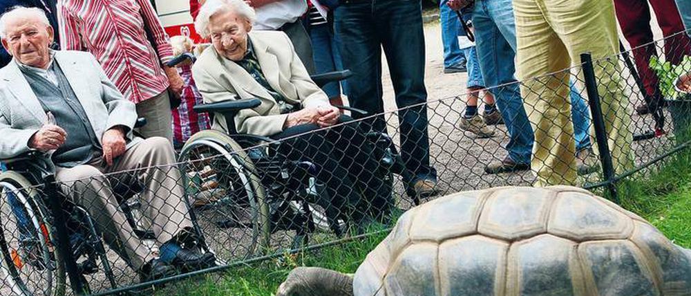 Wohin mit dem Erbe? Von Nachlassspenden profitiert auch der von vielen Berlinern seit Kindheitstagen so geliebte Zoo. 
