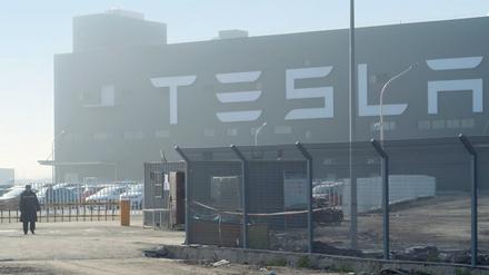 Tesla macht Hoffnung. In Schanghai hat der US-Autohersteller seine Gigafabrik schon errichtet. Durch die geplante Ansiedlung in Grünheide wächst die gesamte Region. 