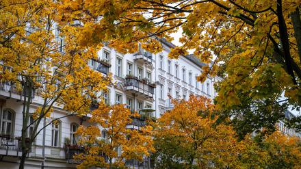 Herbstlich verfärbte Bäume entlang der Lychener Straße in Prenzlauer Berg