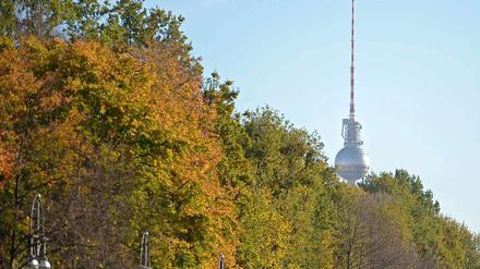 Damit Berlin grün bleibt, sollen private Baumspender helfen.