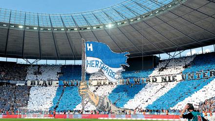 Bei Hertha läuft nicht alles rund - doch gerade das macht den Verein liebenswert.