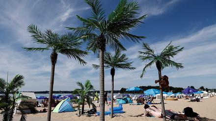 Strandbad Wannsee: Die Palmen am Sandstrand werden auch am Wochenende wieder zahlreiche Besucher anlocken.