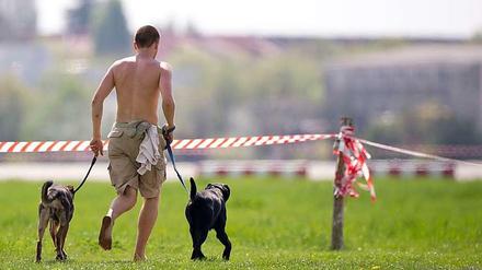 Hundebesitzer werden von Nicht-Hundebesitzern verfolgt, Nicht-Hundebesitzer von Hundebesitzern - wie kann nur ein Berliner den anderen ertragen?