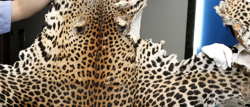 Ein Leopardenfell. (Symbolfoto)