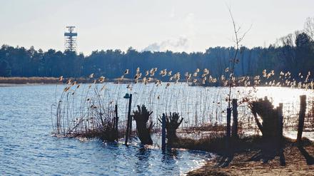 Der Flughafensee in Tegel ist auch bei Wassersportlern beliebt.