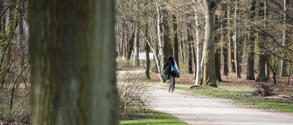 Eine Fahrradfahrerin im Berliner Tiergarten.