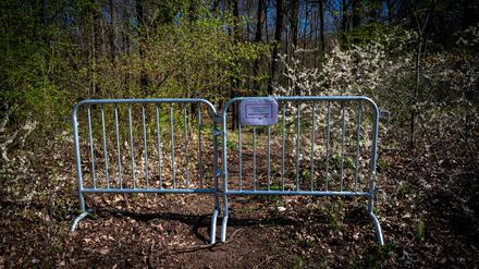 Das Gitter kann weg: Seit 2020 ist der Park Glienicke gesperrt.