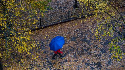 Für den Freitag bietet sich noch an, einen Regenschirm dabei zu haben: Teils ist mit Starkregen zu rechnen.