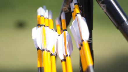 Archery  Arrows  with  Bow  Detail.