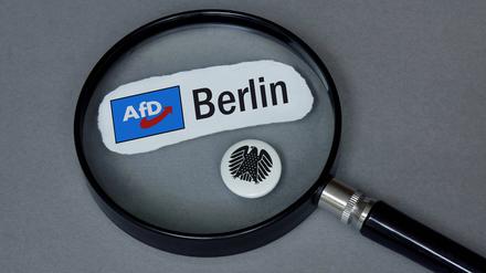 Eine Lupe auf dem Logo der Berliner AfD und dem Bundesadler.