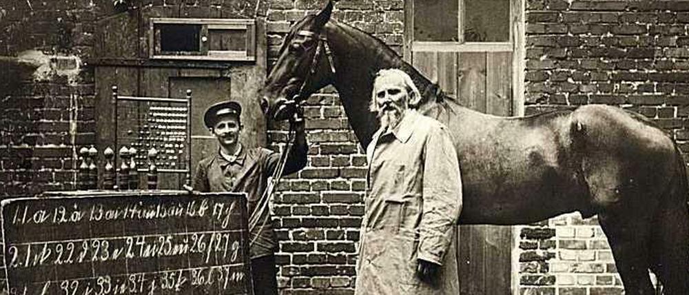 Wilhelm von Osten steht im weißen Kittel neben seinem Pferd. Vor dem Tier sind zwei Schiefertafeln mit Zahlen und Buchstaben aufgestellt.