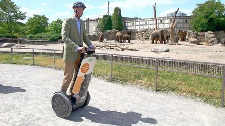 Tierpark-Direktor auf Erkundungsfahrt: Andreas Knierim testet die neuen Segways, die Elefanten sind unbeeindruckt.