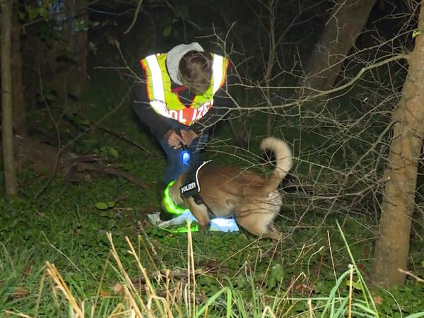 Ein Polizist mit einem Spürhund sucht nach einem nach dem Fund von Überresten eines Mannes nach weiteren Knochen.