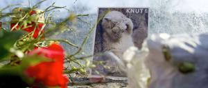 Am Tag nach dem plötzlichen Tod des Eisbärs Knut ist die Trauer im Berliner Zoo und der Stadt groß.