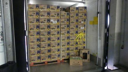 Groß Kreutz: Ermittler des Landeskriminalamts und des Zollfahndungsamts haben bei einem Obsthandel insgesamt 660 Kilogramm Kokain entdeckt.