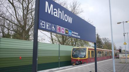 Seit Montag fahren wieder Züge zwischen Mahlow und Blankenfelde