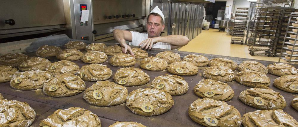 Baking Bread. Das Unternehmen „Märkisches Landbrot“ aus Neukölln verwendet Demeter-Getreide aus der Region.