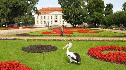Blick auf Schloss Friedrichsfelde im Tierpark.