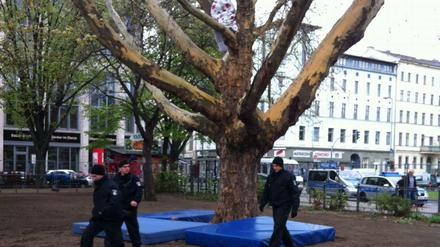 Die Polizei hat unter der Platane auf dem Oranienplatz, auf der die Frau seit Dienstag ausharrt, zur Absicherung Turnmatten ausgelegt.