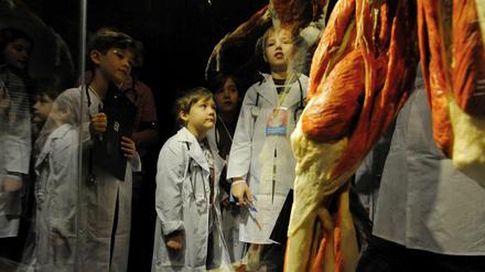 Staunen über die spannenden Geheimnisse des menschlichen Körpers: Kinder bei einer Führung durchs MenschenMuseum. 