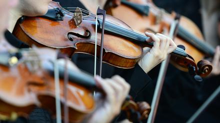 Gleich und doch alle unterschiedlich. Violinisten spielen bei einer Opernaufführung auf verschiedenen Instrumenten.