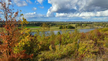 Blick vom polnischen Oderufer auf den Nationpark Unteres Odertal – Polen will den Fluss ausbauen.
