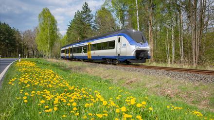 So soll der neue Siemens-Zug mit NEB-Lackierung aussehen.