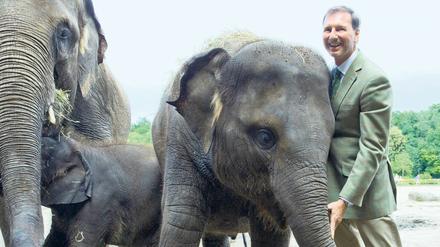 Zoo- und Tierparkdirektor Andreas Knieriem steht bei einem Presserundgang im August 2016 im Tierpark in Berlin-Friedrichsfelde neben einem Elefanten.
