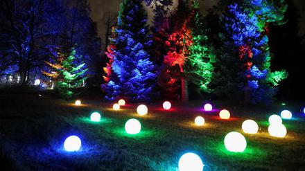 Bunt illuminierte Bäume und Gräser beim "Christmas Garden" im Botanischen Garten.