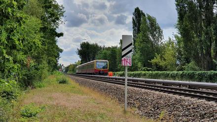 Hier soll die Trasse der NEB direkt auf Höhe der S-Bahn geführt werden. Hinten der S-Bahnhof Wilhelmsruh.
