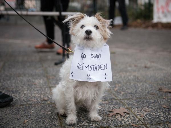 Herrchens Helfer. Ein Hund bei einer Protestkundgebung gegen den Verkauf von Häusern und Wohnungen in Neukölln. 