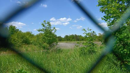 Stadtgrün oder Bebauung? Die Parks Range, ein ehemaliger Truppenübungsplatz in Lichterfelde, ist nicht das einzige Konfliktfeld.