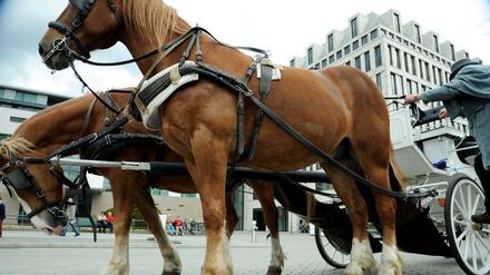 Umstritten: Pferdekutschen am Brandenburger Tor.