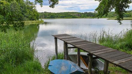 Lange Beine. Der Bootssteg am Pinnower See entfernt sich Jahr für Jahr weiter von der Wasseroberfläche. 